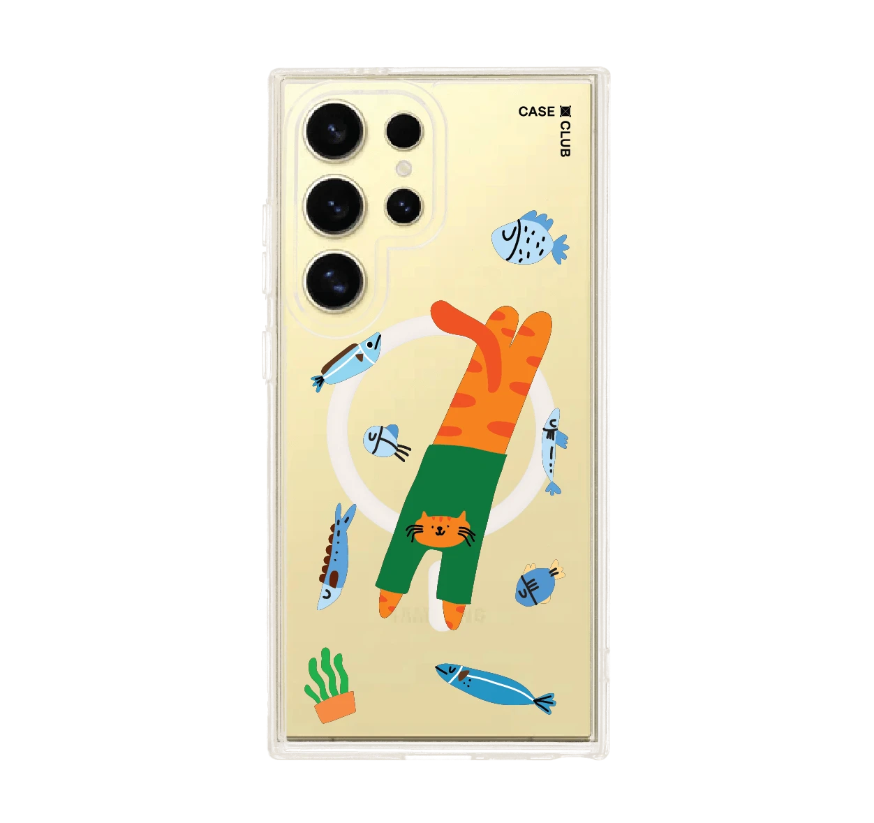 orange cat with green shirt